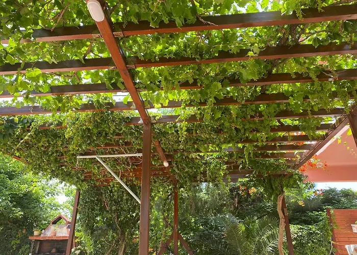 アパートホテル Plaisir 3*